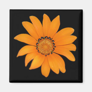 Orange Blumenmagnet Magnet