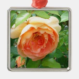 Orange Blush Rose Ornament Aus Metall