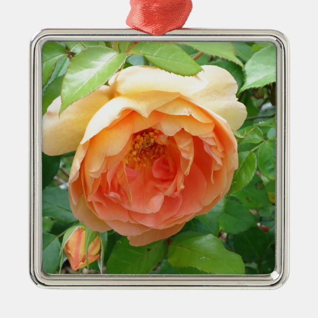 Orange Blush Rose Ornament Aus Metall (Vorne)