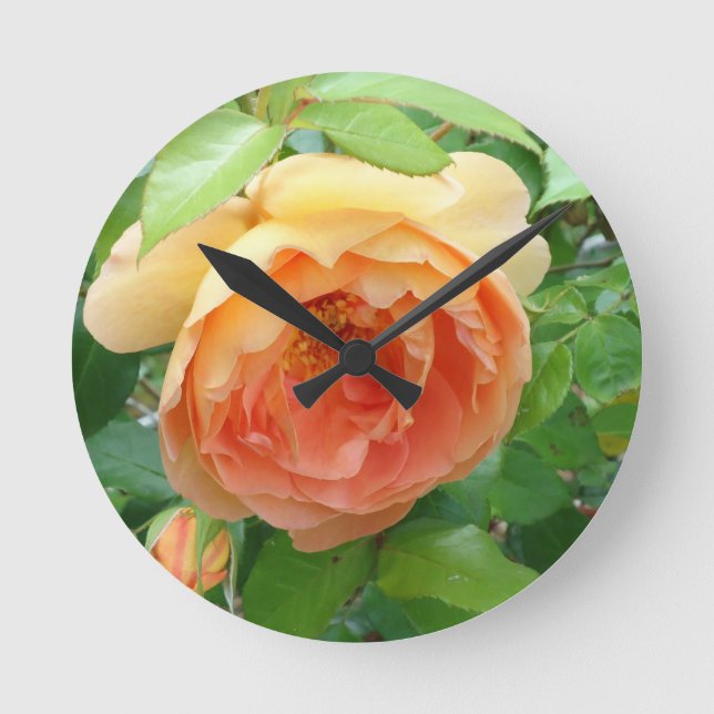 Orange Blush Rose Runde Wanduhr (Vorderseite)
