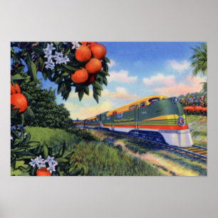 Orange Blüten-spezieller Zug Floridas Streamliner Poster