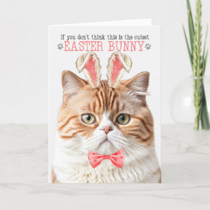 Orange British Shorthair Cat Bunny Oars für Ostern Feiertagskarte
