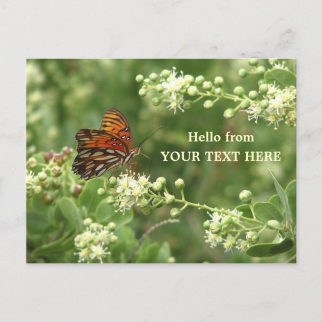 Orange Butterfly Angepasste Postkarte "Hello from" (Vorderseite)
