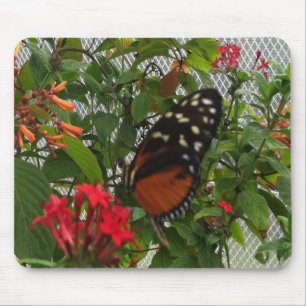 ORANGE BUTTERFLY MOUSEPAD