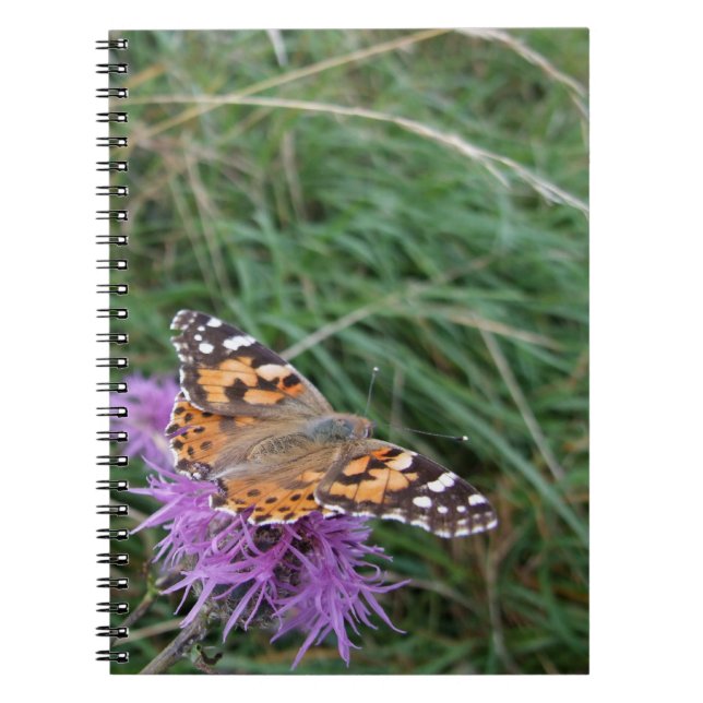 Orange Butterfly Notebook Notizblock (Vorderseite)