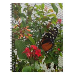 ORANGE BUTTERFLY NOTIZBLOCK