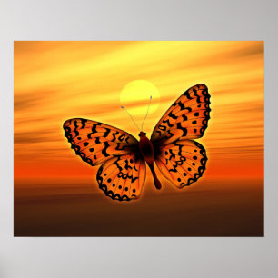 Orange Butterfly Poster
