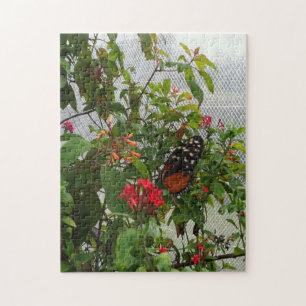 ORANGE BUTTERFLY PUZZLE