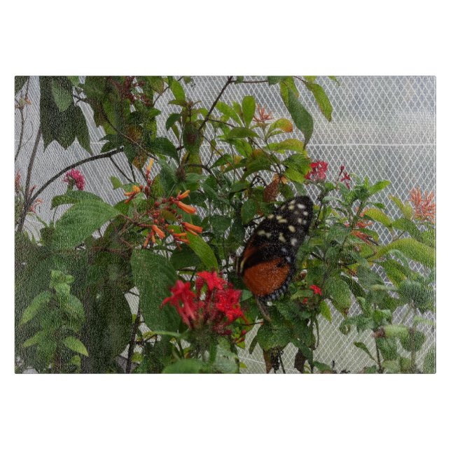 ORANGE BUTTERFLY SCHNEIDEBRETT (Vorderseite)