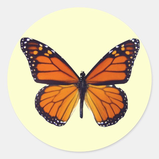 Orange Butterfly Stickers (Vorderseite)