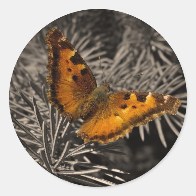 Orange Butterfly Stickers (Vorderseite)