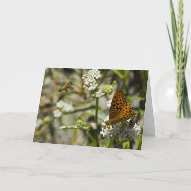 Orange Butterfly und Biene Karte (Vorderseite)