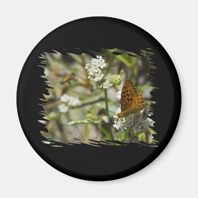 Orange Butterfly und Biene Magnet (Vorne)