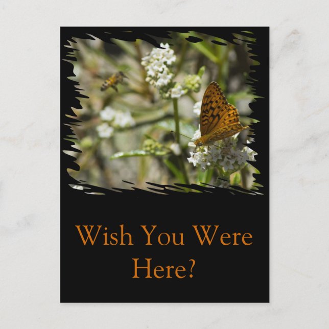 Orange Butterfly und Biene Postkarte (Vorderseite)