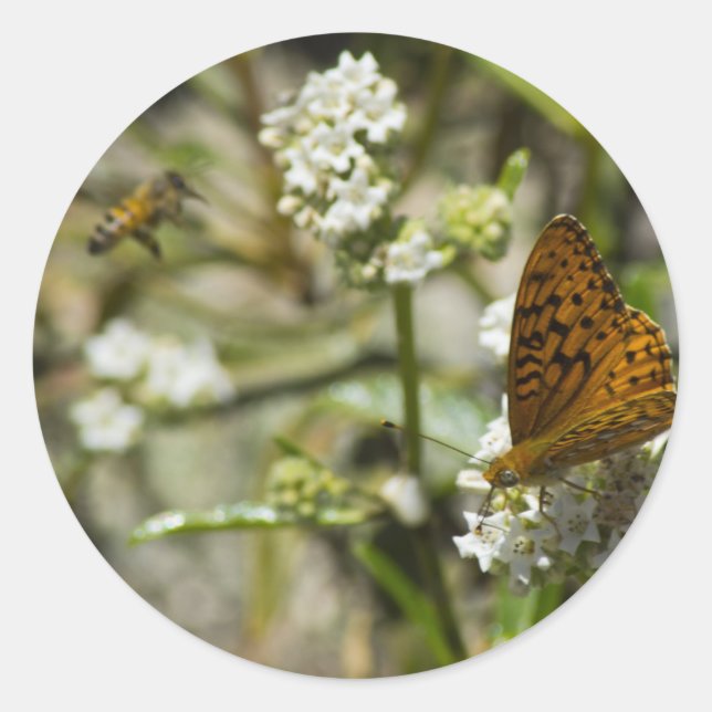 Orange Butterfly und Biene Runder Aufkleber (Vorderseite)