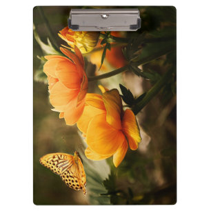 Orange Butterfly und Blume Klemmbrett