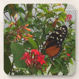 ORANGE BUTTERFLY UNTERSETZER