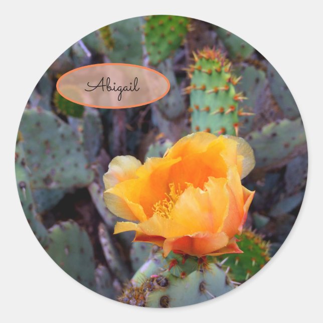 Orange Cactus Blume Blossom Prickly Pear Opuntia Runder Aufkleber (Vorderseite)