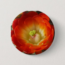 Orange-Cactus-Blume Button