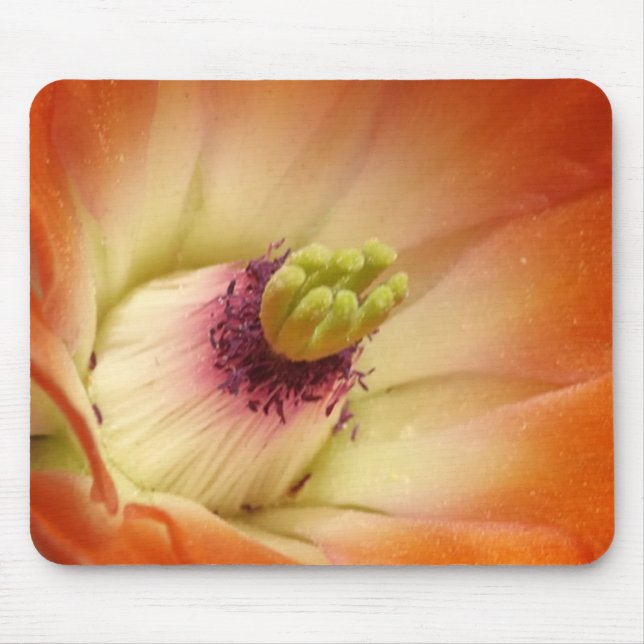 Orange Cactus Blume Mousepad (Vorne)