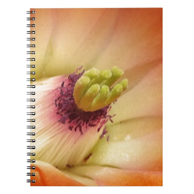 Orange Cactus Blume Notizblock (Vorderseite)