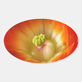 Orange-Cactus-Blume Ovaler Aufkleber