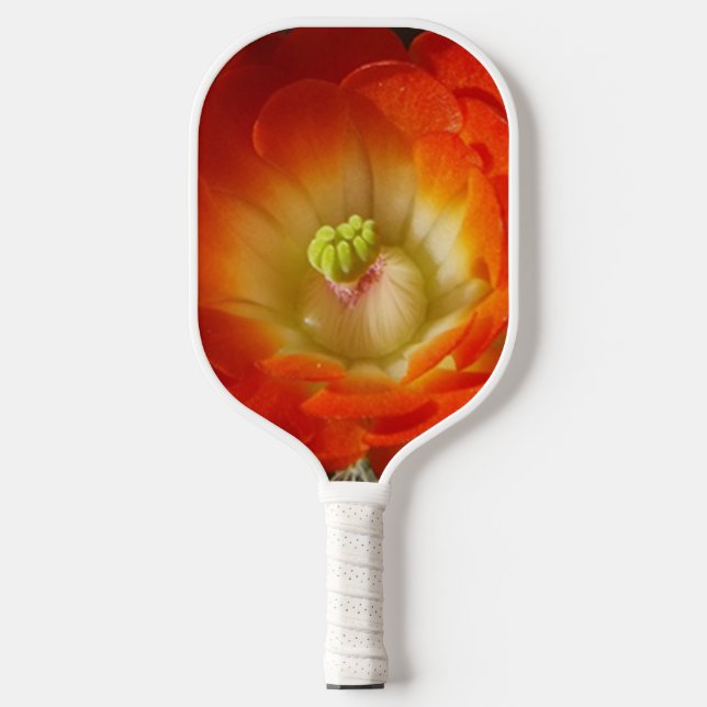 Orange Cactus Blume Pickleball Paddle (Vorderseite)