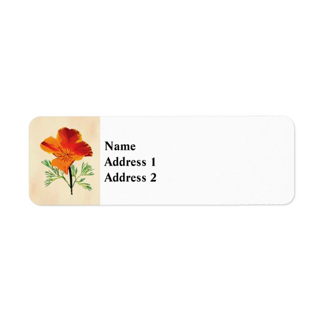Orange California Poppy (Vorne)