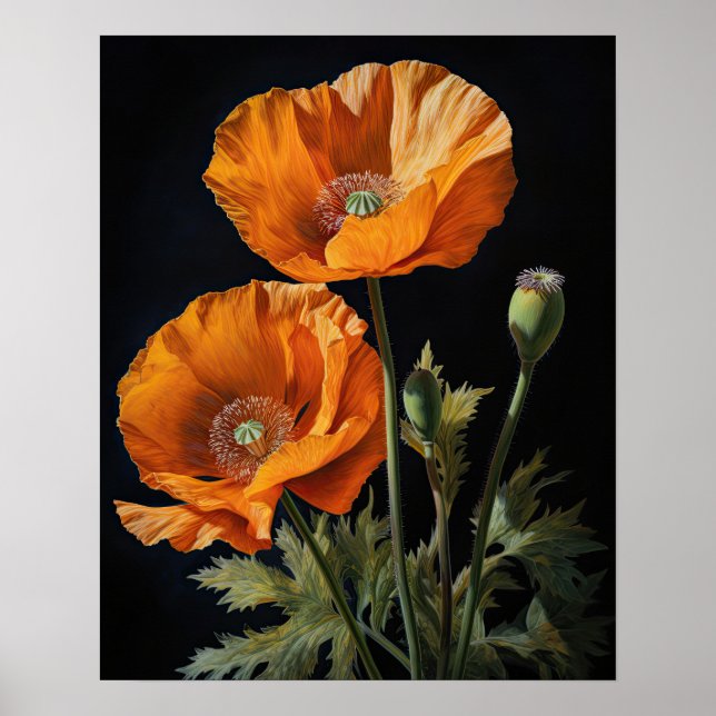 Orange California Poppy Blume Art Print Poster (Vorne)