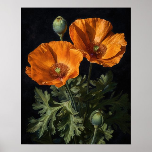 Orange California Poppy Blume Art Print Poster (Vorne)