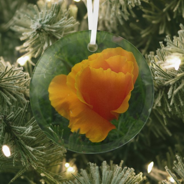 Orange California Poppy Floral Foto Ornament Aus Glas (InSitu)