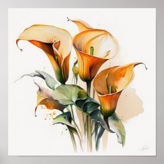 Orange Calla Lilies Lily Blume Kunst, Dichtung und Poster (Vorne)