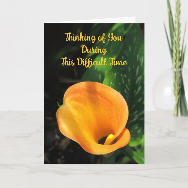 Orange Calla Lily Denken Sie an Sie Sympathy Card Karte (Vorderseite)