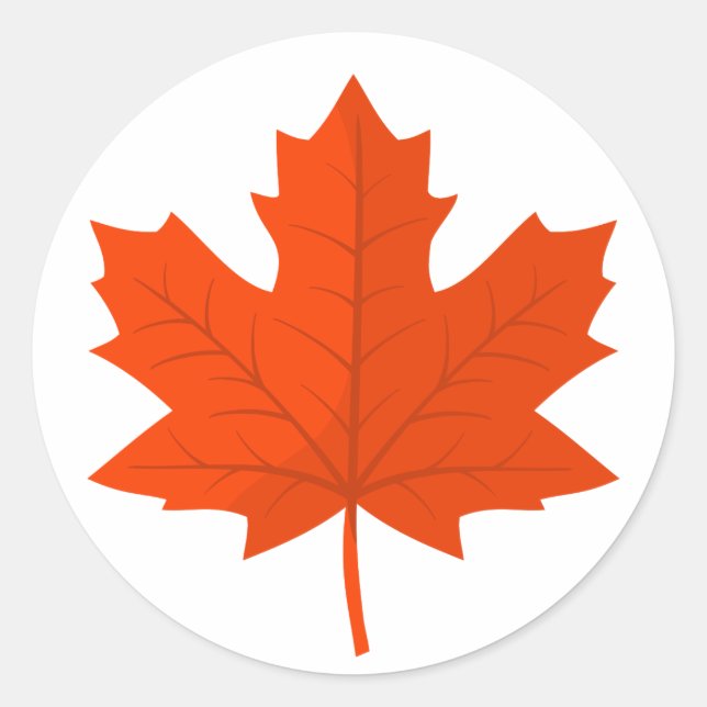 Orange Canadian Maple Tree Leaf Runder Aufkleber (Vorderseite)