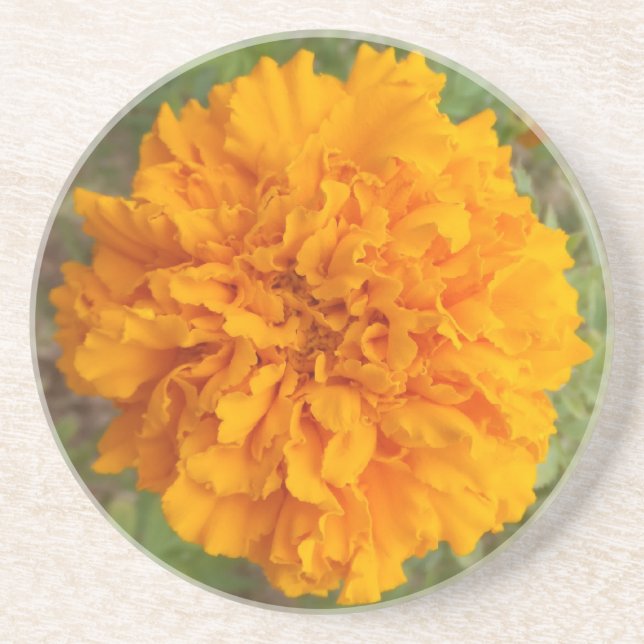 Orange Carnation Untersetzer (Vorne)