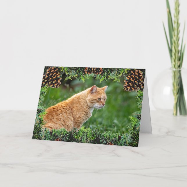 Orange Cat Christmas Card Karte (Vorderseite)