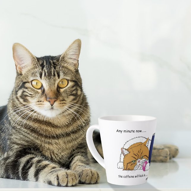 Orange Cat Coffee Tasse Blue (Von Creator hochgeladen)