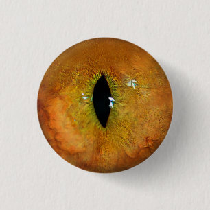 Orange Cat Eye Button
