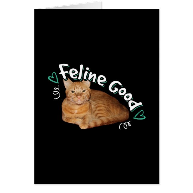 Orange Cat - Feline Good Puppe (Vorne)