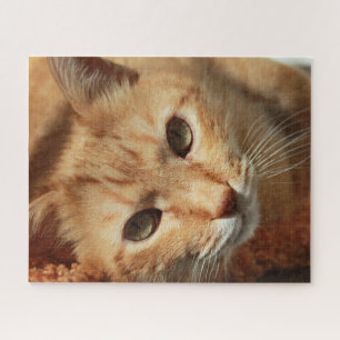 Orange Cat Jigsaw Puzzle