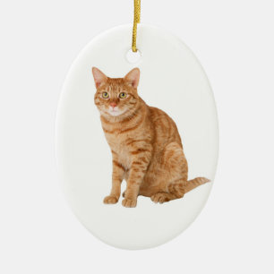 Orange Cat Keramik Ornament