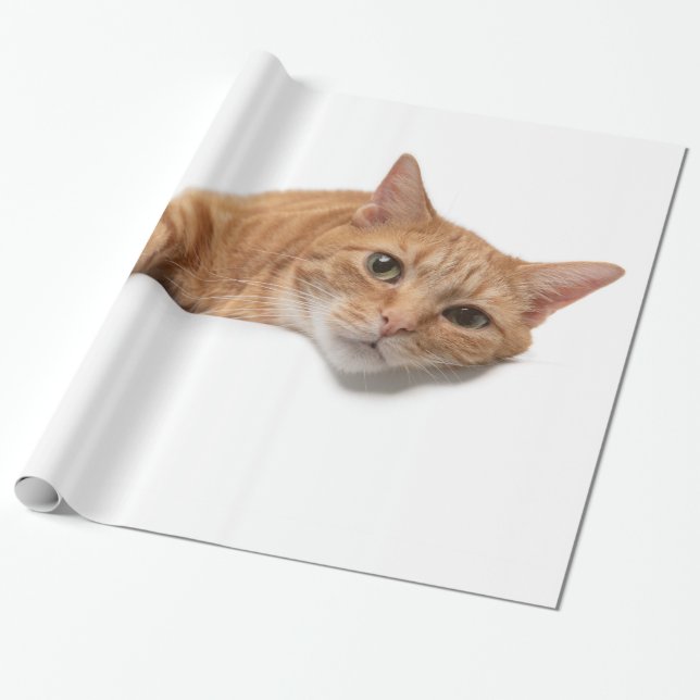 Orange Cat Lay Down Geschenkpapier (Ungerollt)