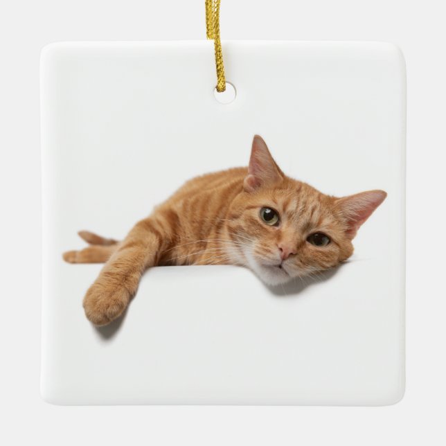 Orange Cat Lay Down Keramikornament (Vorderseite)