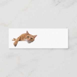 Orange Cat Lay Down Mini Visitenkarte