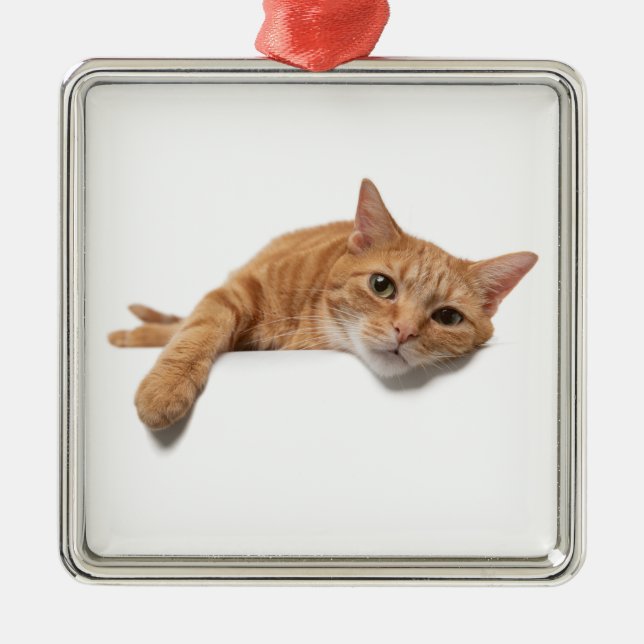 Orange Cat Lay Down Ornament Aus Metall (Vorne)
