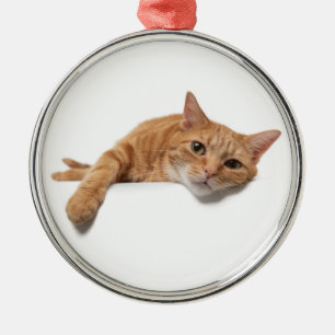 Orange Cat Lay Down Ornament Aus Metall