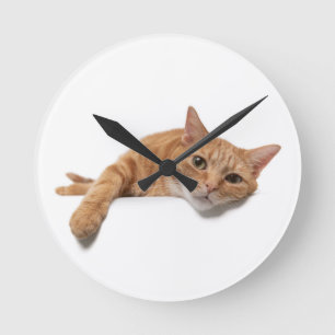 Orange Cat Lay Down Runde Wanduhr