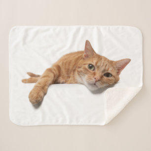 Orange Cat Lay Down Sherpadecke