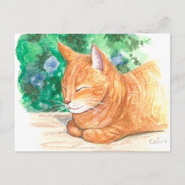 "Orange Cat Relaxing." Postkarte (Vorderseite)