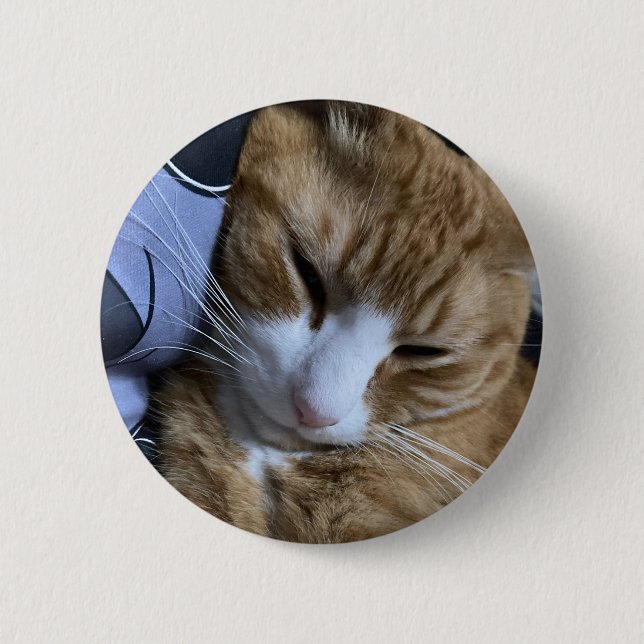 Orange Cat Sleeping Button (Vorderseite)